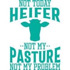 not today heifer