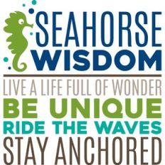 seahorse wisdom