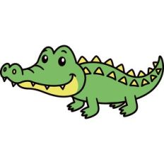 Crocodile