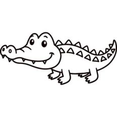 Crocodile