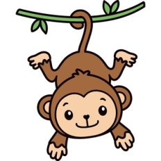 Monkey
