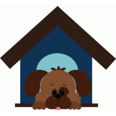 dog in dog house
