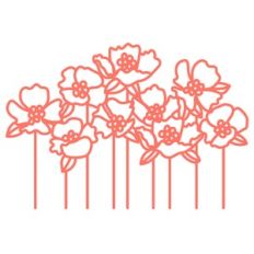 poppies field