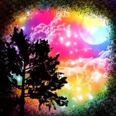 Neon Rainbow Fantasy Forest Background Pattern
