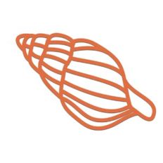 Sea Shell