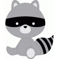 raccoon