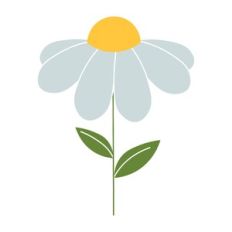 Blue Daisy