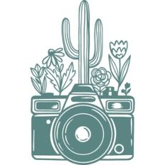 camera with cactus and flowers