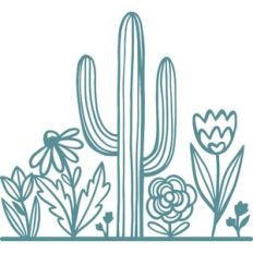 cactus and flowers border