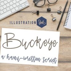 ZP Buckeye