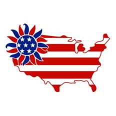 Sunflower USA Flag
