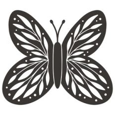 Leaf Butterfly