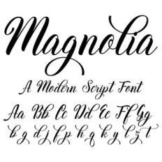 Magnolia Script Font