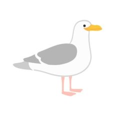Seagull