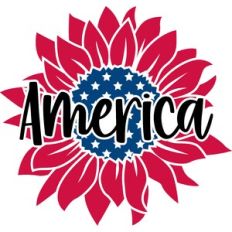 america