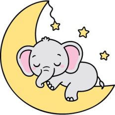 Baby Elephant On The Moon