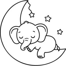 Baby Elephant On The Moon