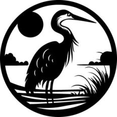 Heron