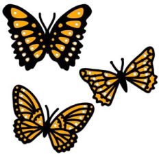 Three Butterflies