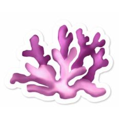 Seaweed Print and Cut Design