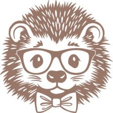 hedgehog with glasses