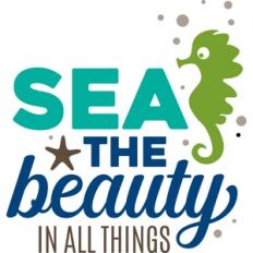 sea the beauty in all things