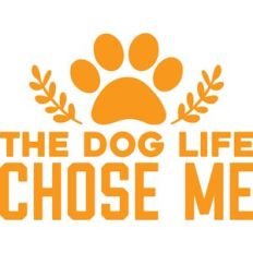 the dog life chose me