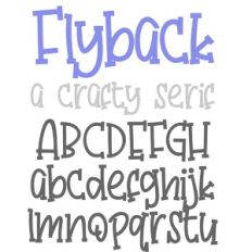 ZP Flyback