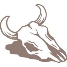 cow skull