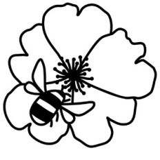 Bee on a Wild Rose Flower