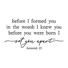 before i formed you in the womb i knew you | scripture quote