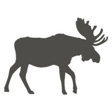 Moose Silhouette