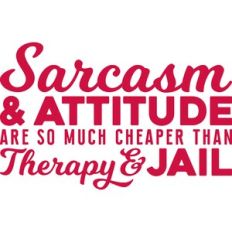 sarcasm and attitude