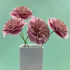 Peony Flower 'Dinner Plate'