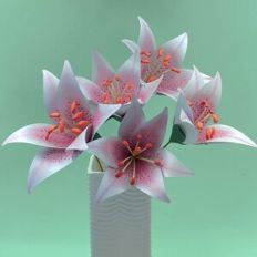 Realistic Lily Flower
