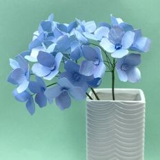 Hydrangea Flower