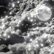 Magical Forest Sky Background Pattern