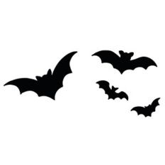 Bats