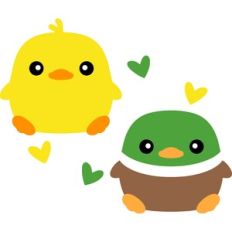 cute ducks
