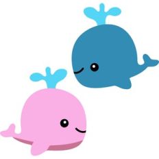 cute whales