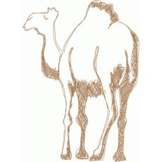 camel sketch