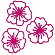 Wild Roses