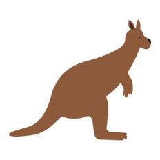 Kangaroo