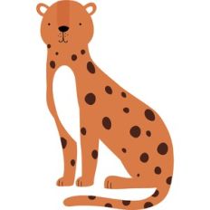 Cheetah