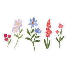 Flower Sprigs