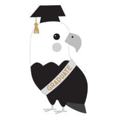 Graduation Eagle