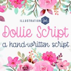 PN Dollie Script