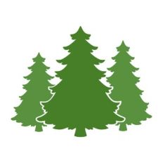 Christmas Tree Trio