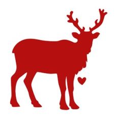 Reindeer Standing