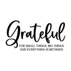 grateful for small things big things and everything in between
